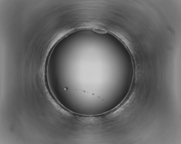 X0000112480949200908171217