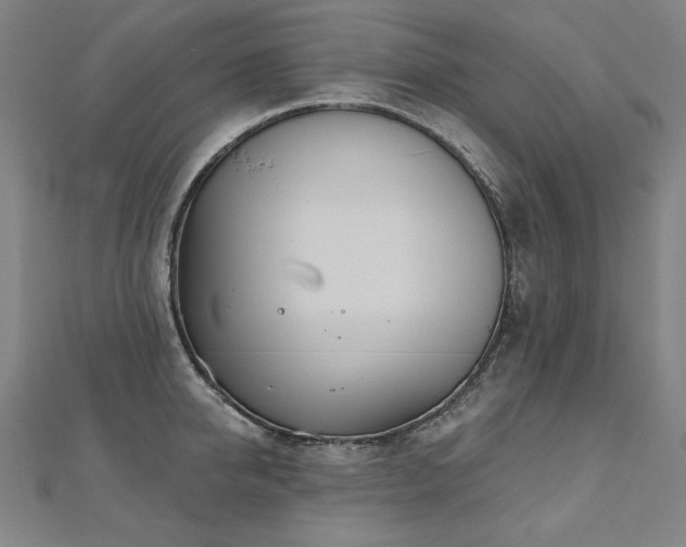 X0000112480950200908171217