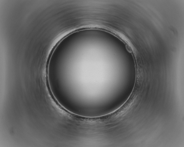 X0000112480951200908171217