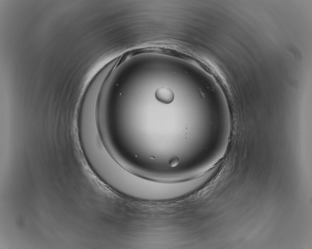 X0000112480952200908171217