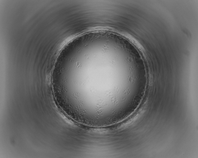 X0000112480953200908171217