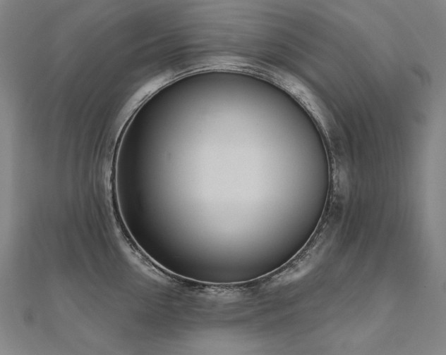X0000112480954200908171217