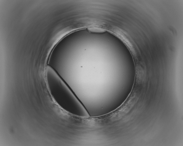 X0000112480956200908171217