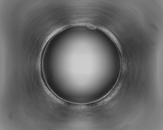 X0000112480957200908171217