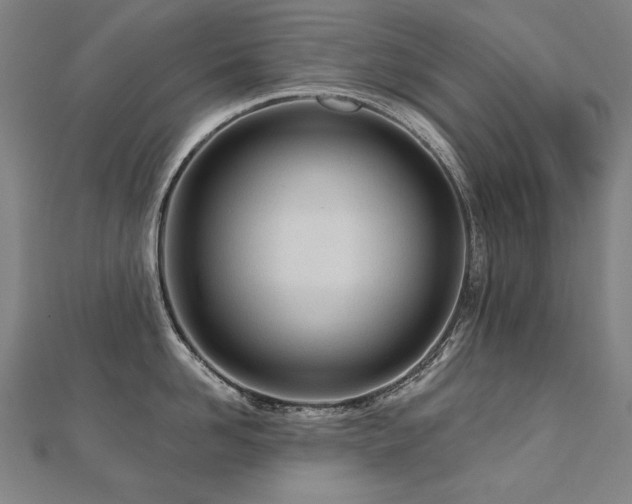 X0000112480958200908171217