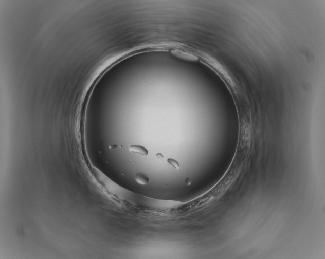 X0000112480959200908171217