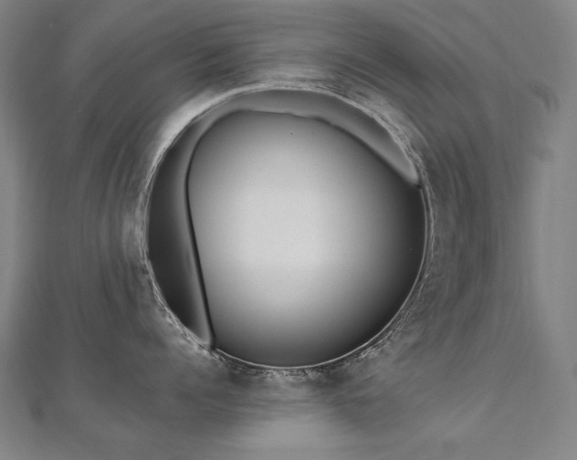 X0000112480960200908171217