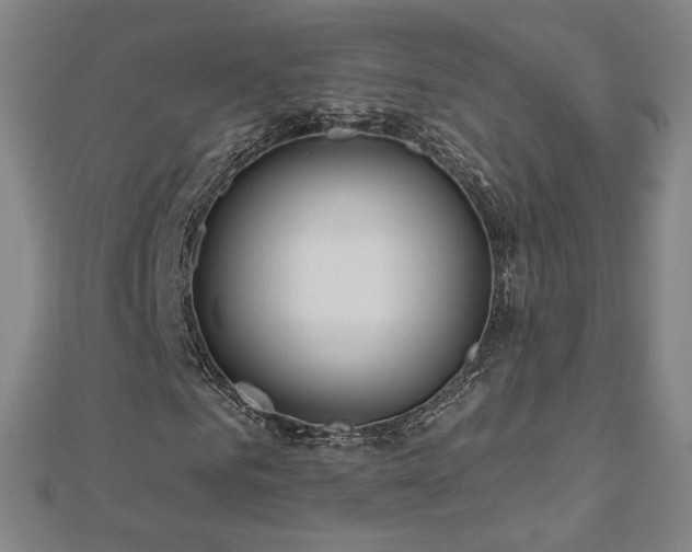 X0000112480961200908171216