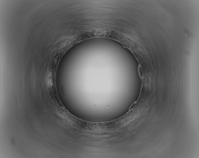 X0000112480962200908171216