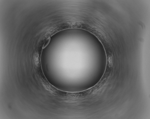 X0000112480963200908171216