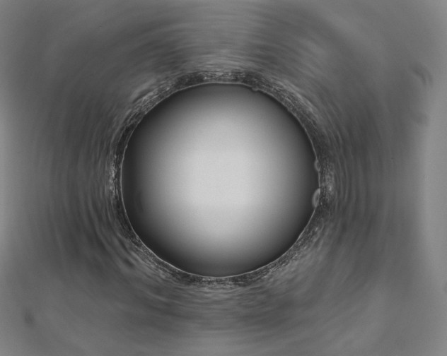 X0000112480964200908171216