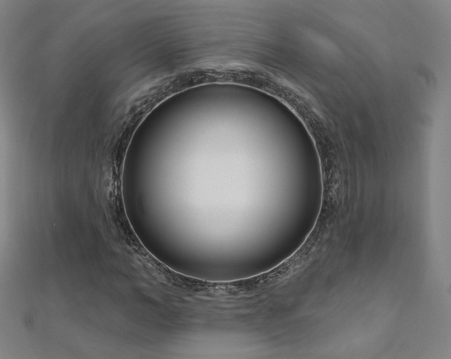 X0000112480966200908171216