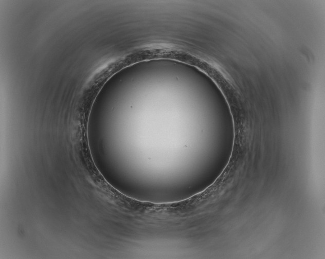 X0000112480967200908171216