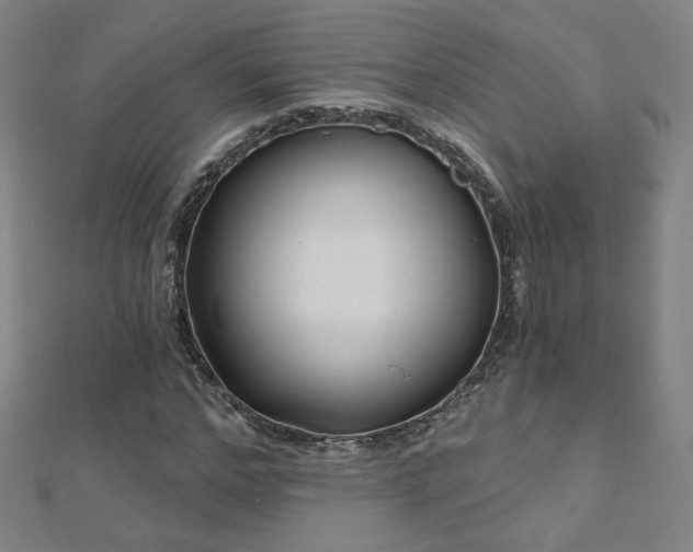 X0000112480968200908171216