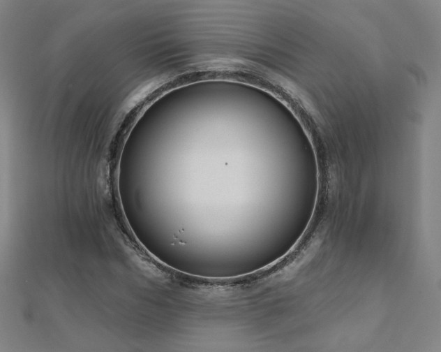 X0000112480970200908171216