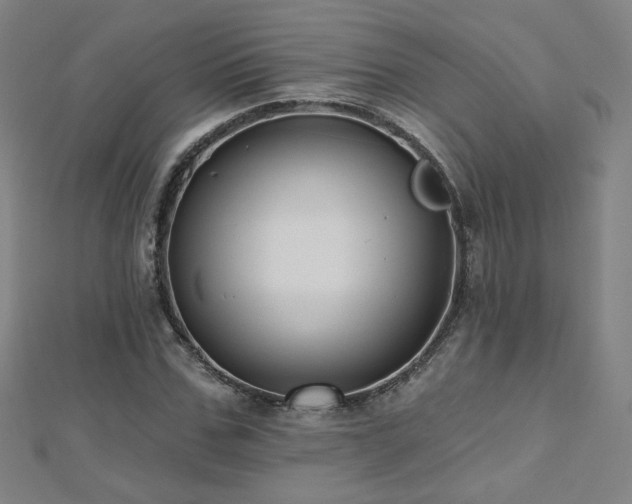 X0000112480971200908171216