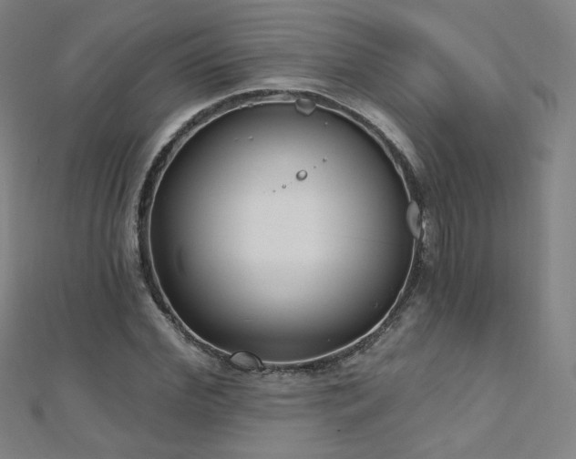 X0000112480972200908171216