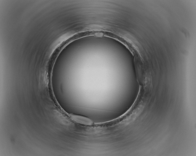 X0000112480973200908171216