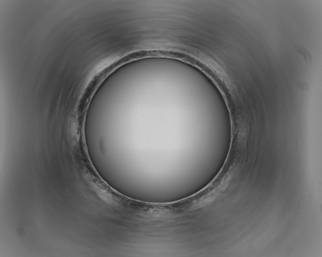 X0000112480974200908171216