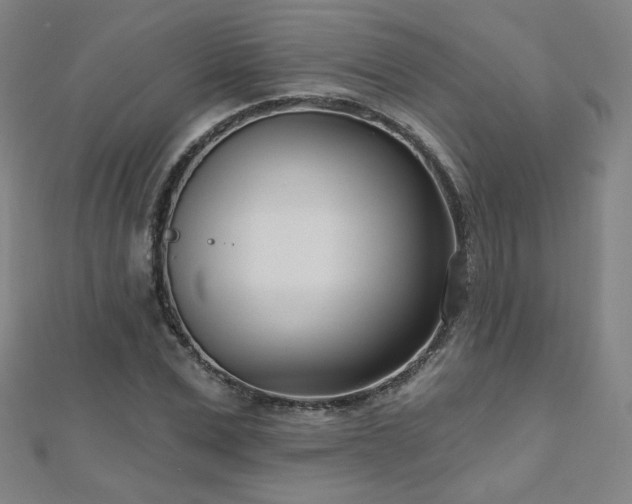 X0000112480975200908171216