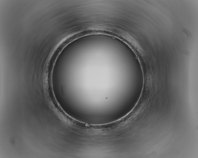 X0000112480976200908171216