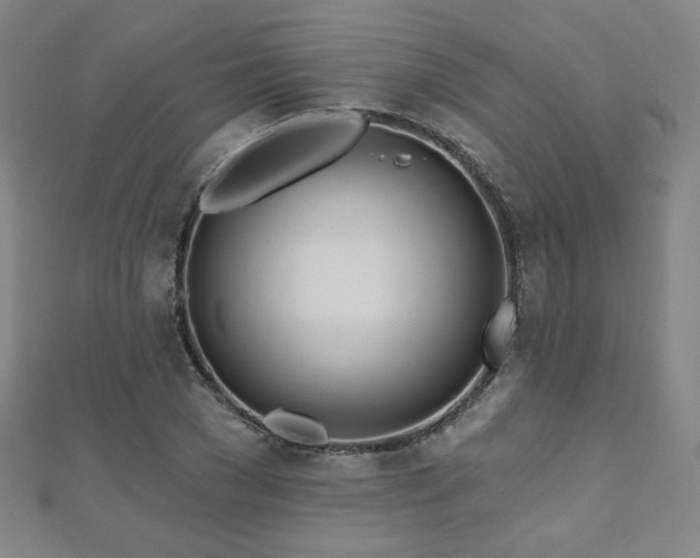 X0000112480977200908171216