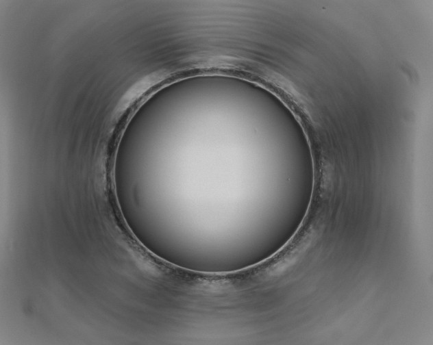 X0000112480978200908171216