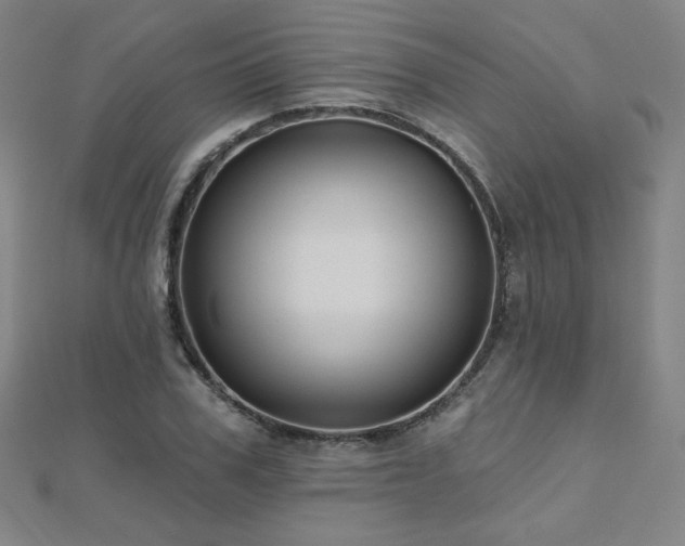X0000112480979200908171216