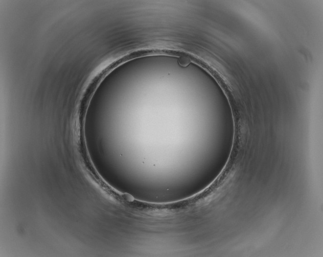 X0000112480982200908171216