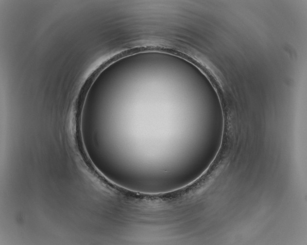 X0000112480983200908171216