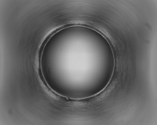 X0000112480984200908171216