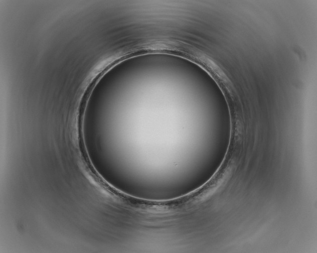 X0000112480986200908171216