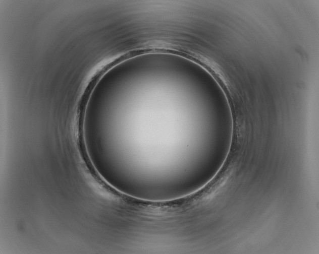X0000112480987200908171216