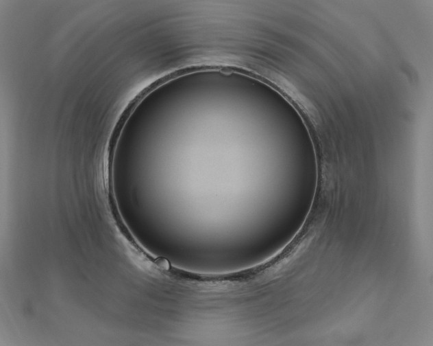 X0000112480988200908171216
