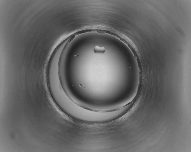 X0000112480989200908171216