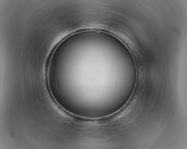 X0000112480990200908171216