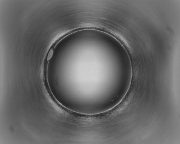 X0000112480991200908171216