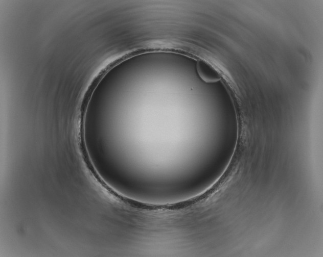 X0000112480992200908171216