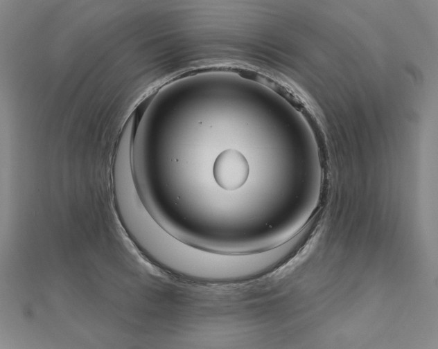X0000112480993200908171216