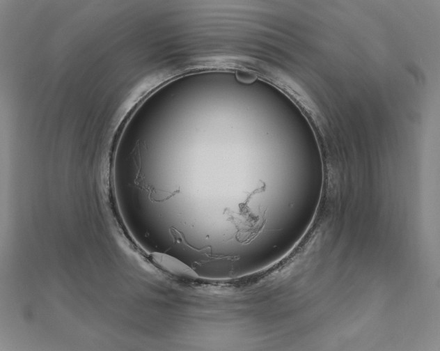 X0000112480994200908171216