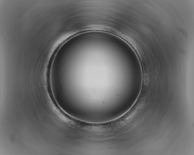 X0000112480995200908171216