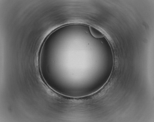 X0000112480996200908171216