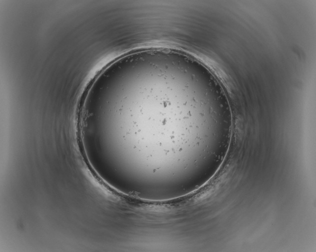 X0000112480998200908171216