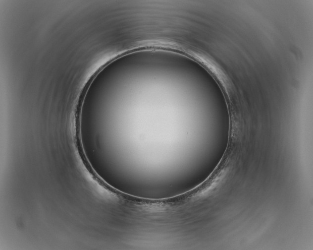 X0000112480999200908171216