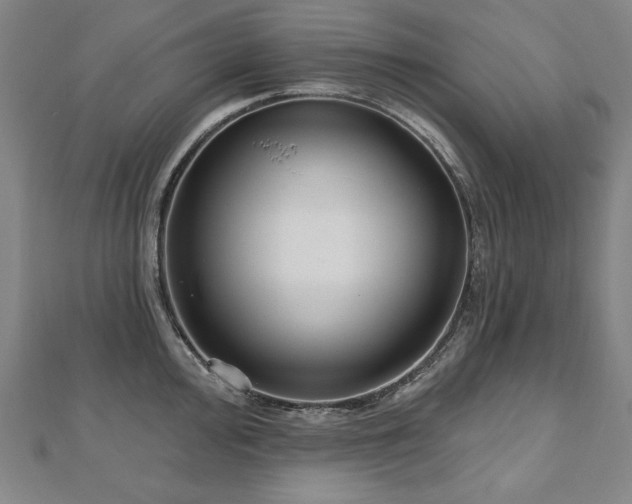 X0000112481000200908171216