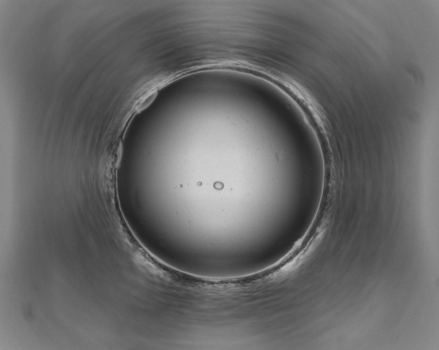 X0000112481001200908171216