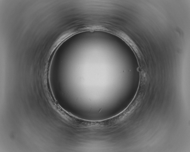 X0000112481002200908171216