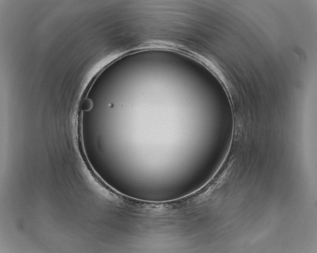 X0000112481003200908171216