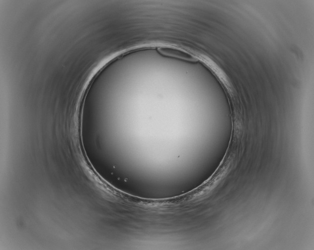 X0000112481004200908171216