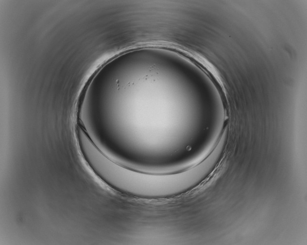 X0000112481005200908171216